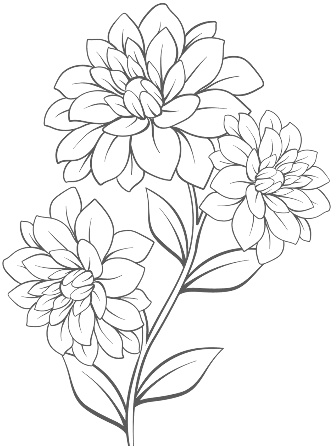 Flower Sketch